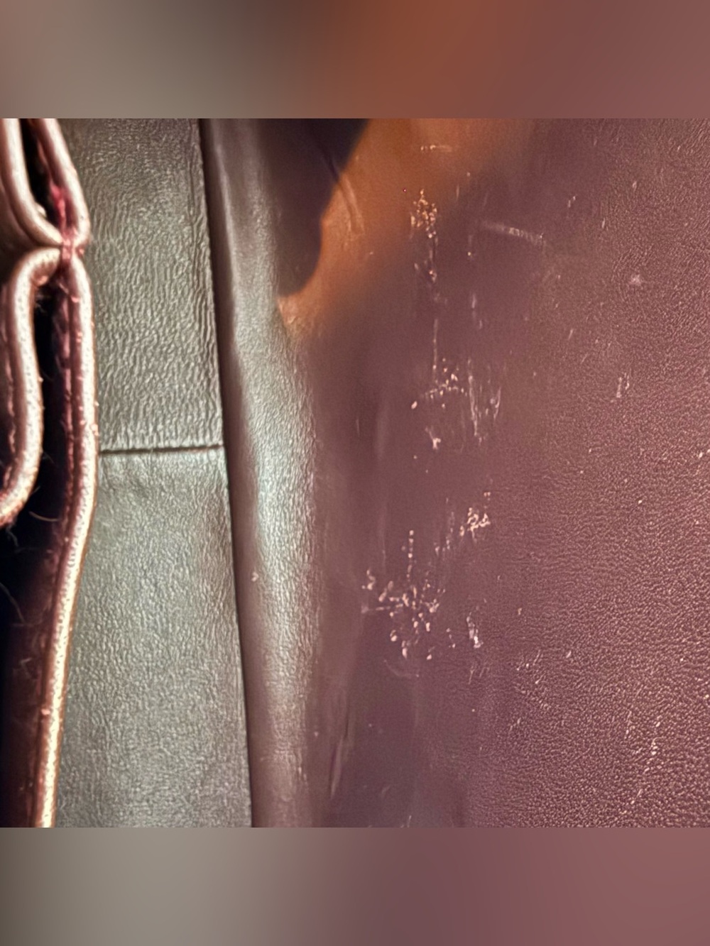 Chanel Flap Bag - Picture 10 of 11